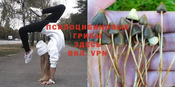 МДПВ Волоколамск