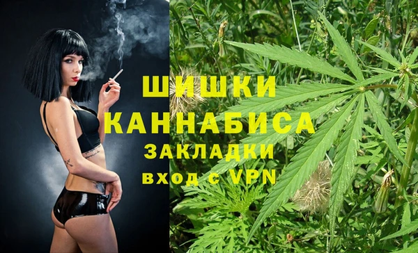 МДПВ Волоколамск