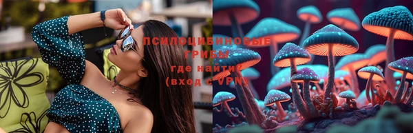МДПВ Волоколамск